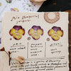 OURS Sticker Pack - Les Fleurs (Flowers)