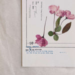 Pressed Flower Print-on Sticker: Cherry Blossom