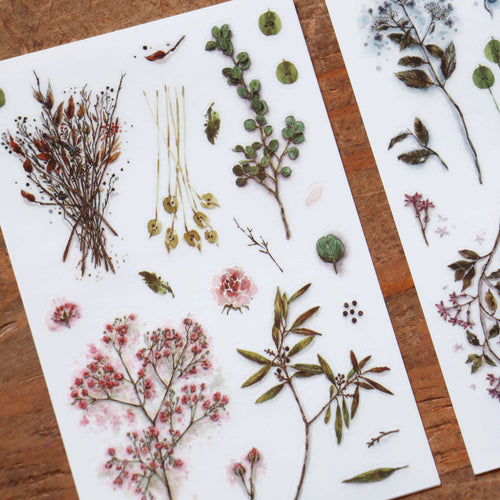 LCN Print-On Stickers - Dried Flowers