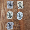 LCN Metal Stamps XIII - Fern Specimen