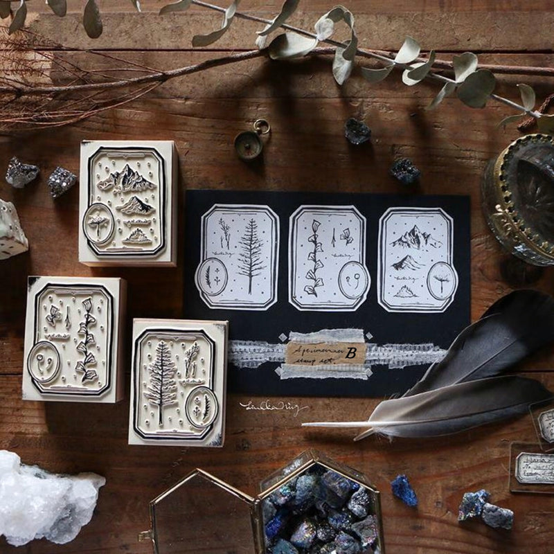 LCN Specimen Labels Rubber Stamps Set