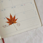 Pressed Flower Print-on Sticker: Maple Leaves