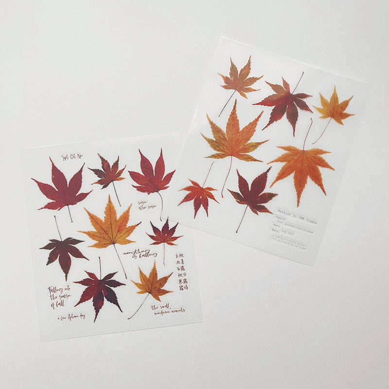 Pressed Flower Print-on Sticker: Maple Leaves