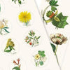 PEPIN Label, Sticker & Tape Books - Flora
