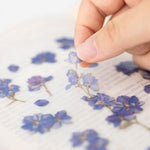 Press Flower Stickers Larkspur