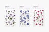 Press Flower Stickers Manchurian Violet