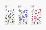 Press Flower Stickers Manchurian Violet
