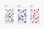 Press Flower Stickers Larkspur