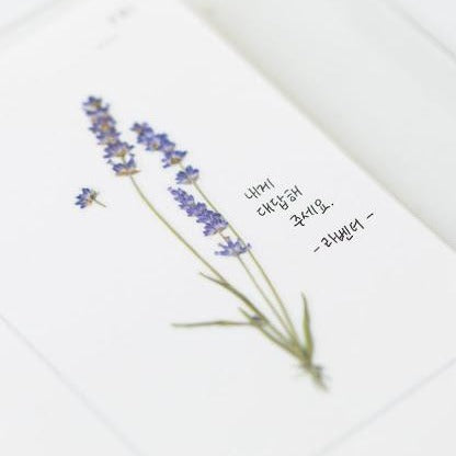 Press Flower Stickers Lavender