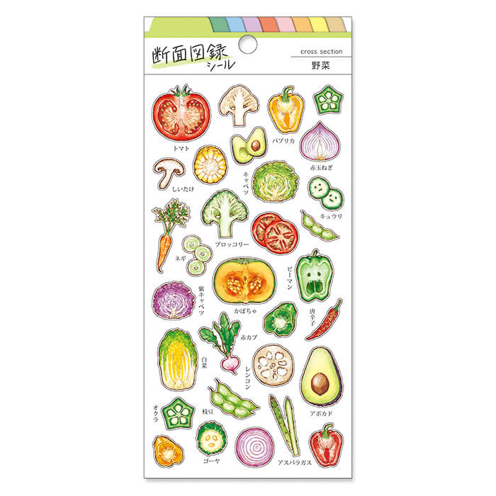 Food Cross Section Sticker - Vegetables