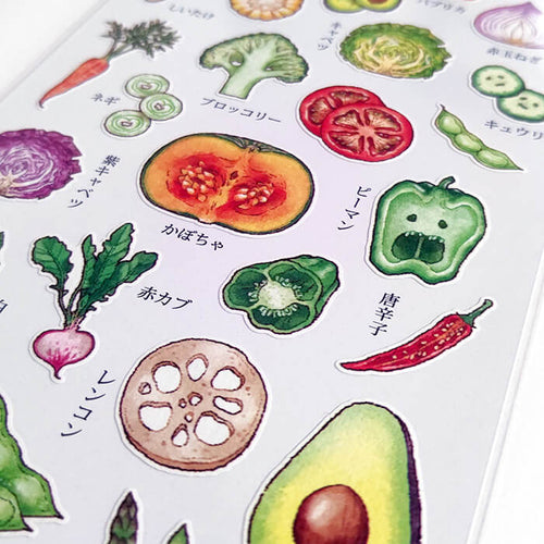 Food Cross Section Sticker - Vegetables