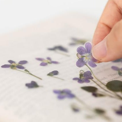 Press Flower Stickers Manchurian Violet