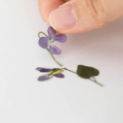 Loose flowers - Flower - Sticker