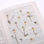 Press Flower Stickers Marguerite