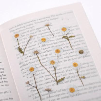 Press Flower Stickers Marguerite
