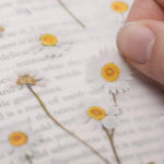 Press Flower Stickers Marguerite