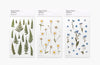 Press Flower Stickers Marguerite