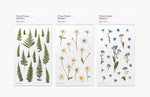 Press Flower Stickers Marguerite