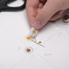 Press Flower Stickers Marguerite