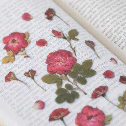 Book Flower Sticker, Aesthetic Stickers, Writer Gift, Reading