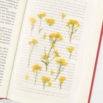 Press Flower Stickers Rapeseed Flower