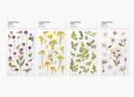 Press Flower Stickers Rapeseed Flower