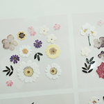 Suatelier Stickers - Dear flower