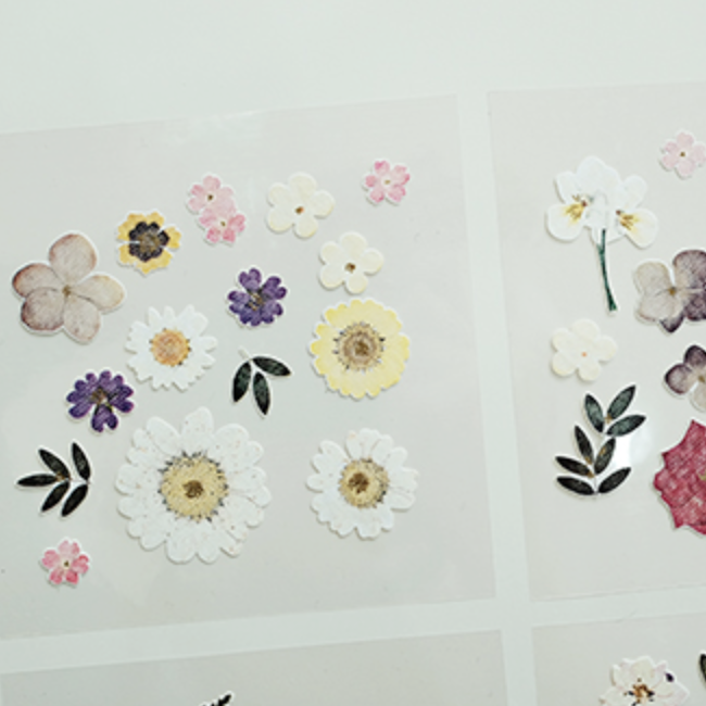 Suatelier Stickers - Dear flower