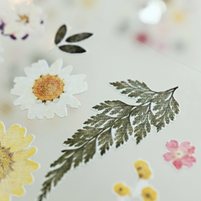 Suatelier Stickers - Dear flower