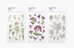 Press Flower Stickers Sweet Alyssum