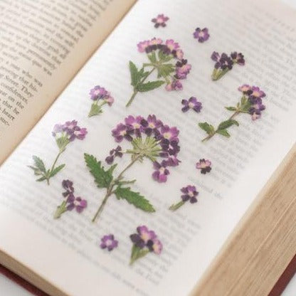 Press Flower Stickers Verbena