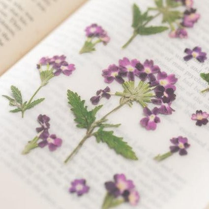 Press Flower Stickers Verbena