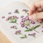 Press Flower Stickers Verbena