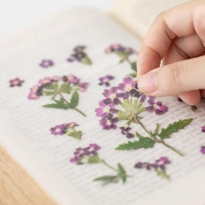 Press Flower Stickers Verbena