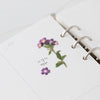 Press Flower Stickers Verbena