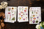 OURS Sticker Pack - Les Fleurs (Flowers)