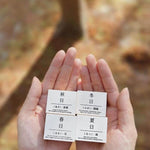 Seasons Rubber Stamp Set