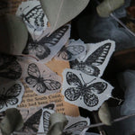 LCN Rubber Stamp Set - Butterfly