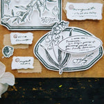 OURS de Fleur Clear Stamp Sheet