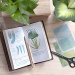 MU Print-On Stickers - Fairytale/ 3pcs Gift Set [Discontinued Item]