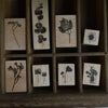 Flower Shadow Rubber Stamp Series