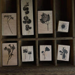 Pressed Flower Rubber Stamp Series