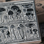 LCN Rubber Stamp Set - Fungus Notecard I