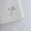 Pressed Flower Print-on Sticker: Hydrangea