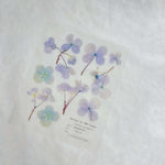 Pressed Flower Print-on Sticker: Hydrangea
