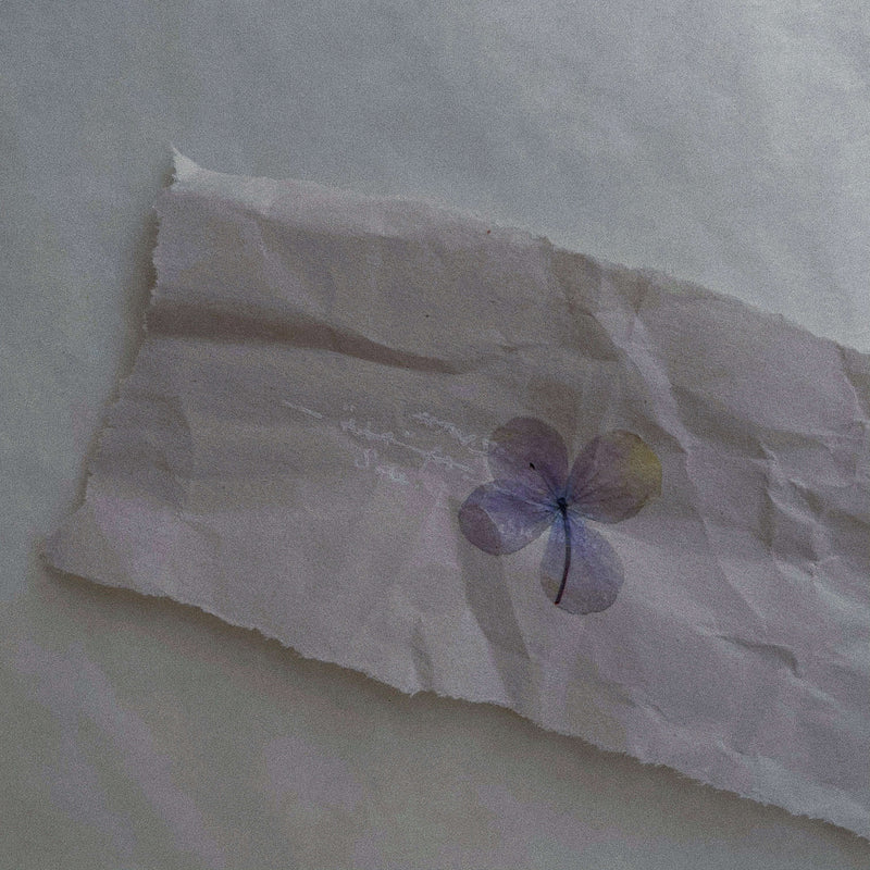 Pressed Flower Print-on Sticker: Hydrangea