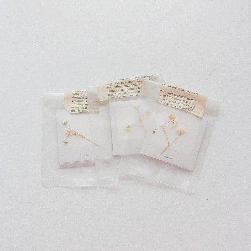 Polaroid Stickers (Black/White)