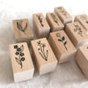Kojima Inbo Rubber Stamp - Botanical Series