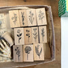 Kojima Inbo Rubber Stamp - Botanical Series