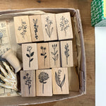 Kojima Inbo Rubber Stamp - Botanical Series